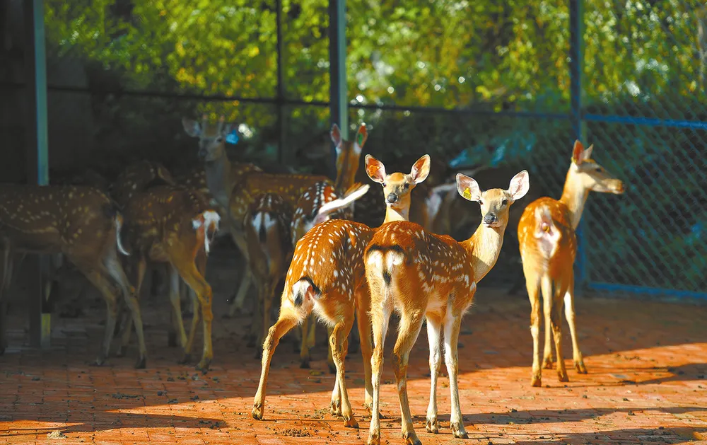 C:\Users\ADMINI~1\AppData\Local\Temp\WeChat Files\5afe588f9a30c83286644eff5dac14a.png