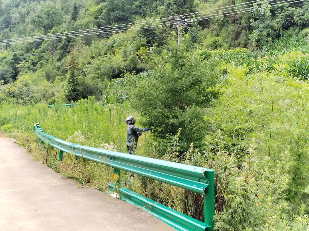 webwxgetmsgimg (4).jpg