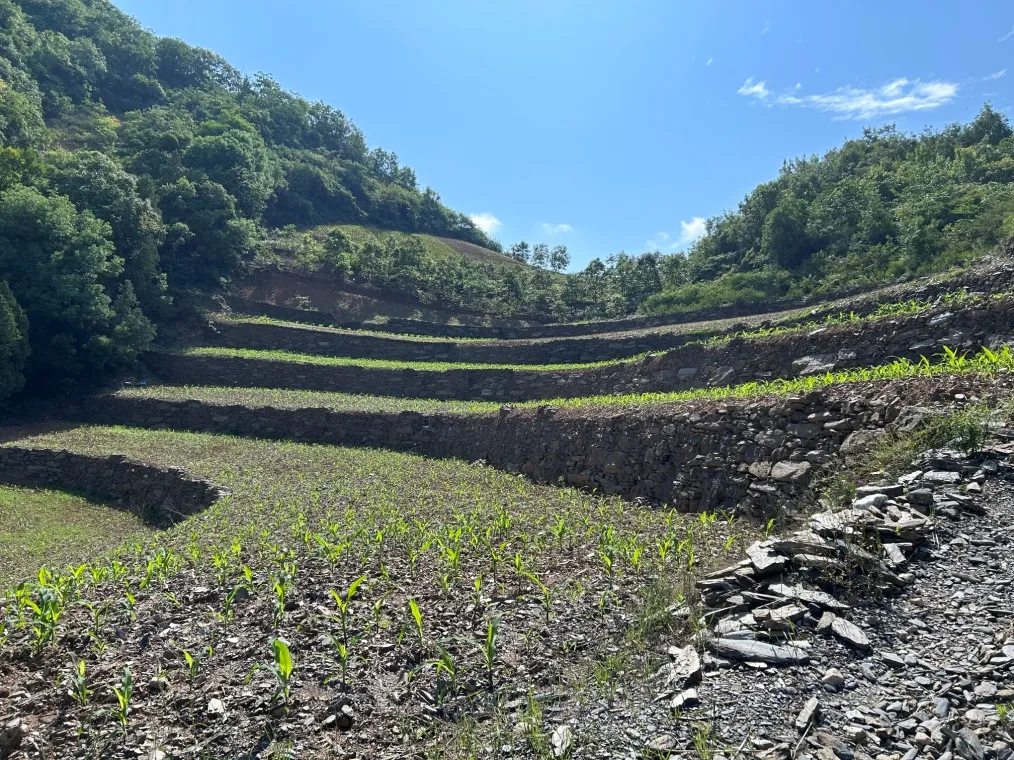 C:\Users\ADMINI~1\AppData\Local\Temp\WeChat Files\998a313110f8f79016ee08a7e1c8605.jpg