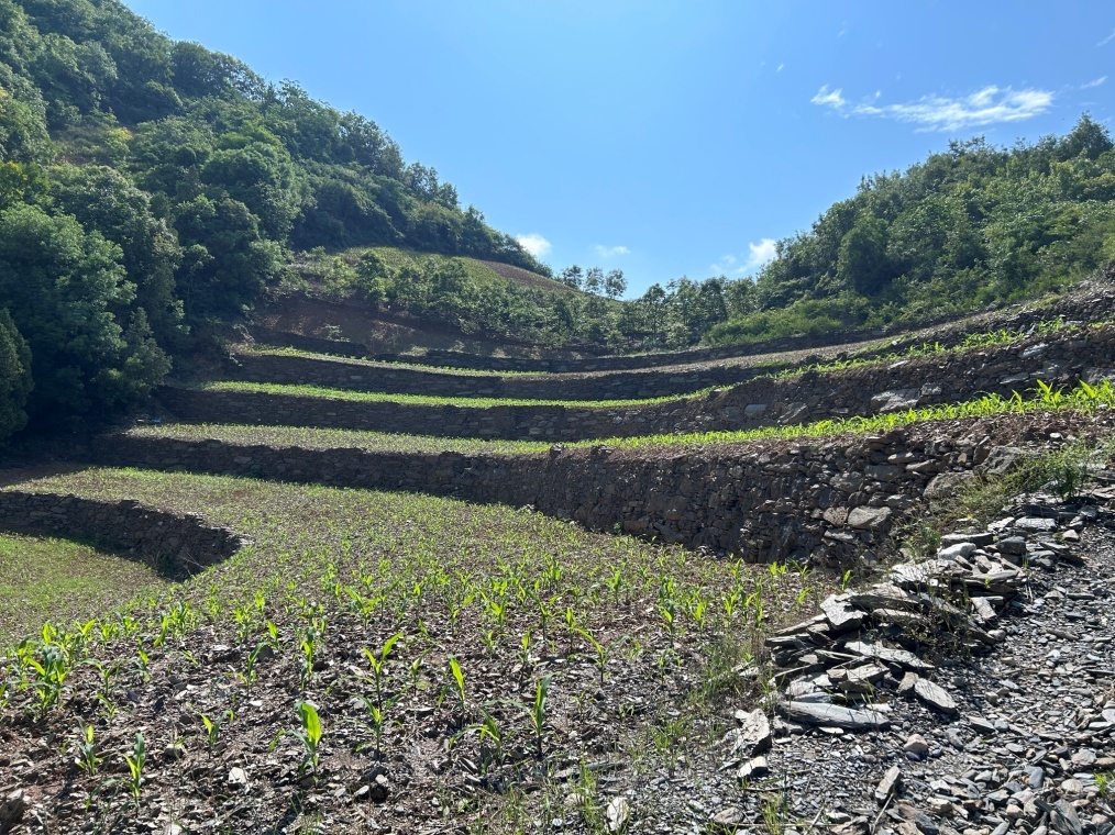 C:\Users\ADMINI~1\AppData\Local\Temp\WeChat Files\998a313110f8f79016ee08a7e1c8605.jpg