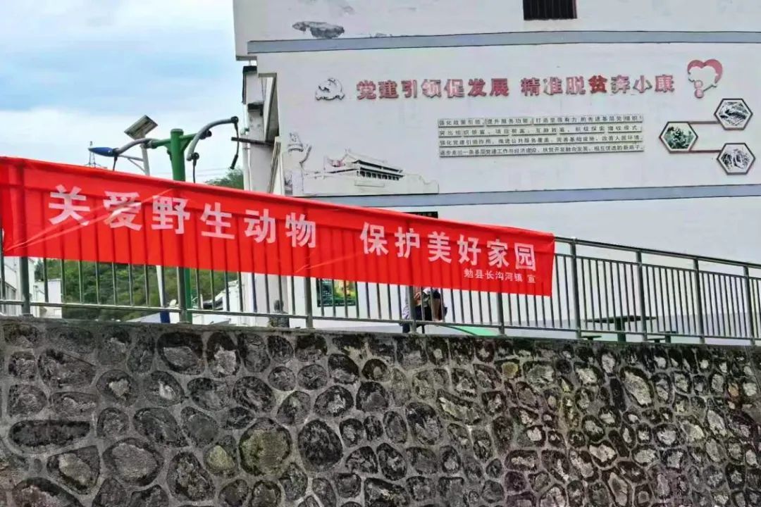 D:\Documents\WeChat Files\wxid_93fnk9ywzkz311\FileStorage\Temp\b5ce673f6e23956f819a5441838193f9.jpg