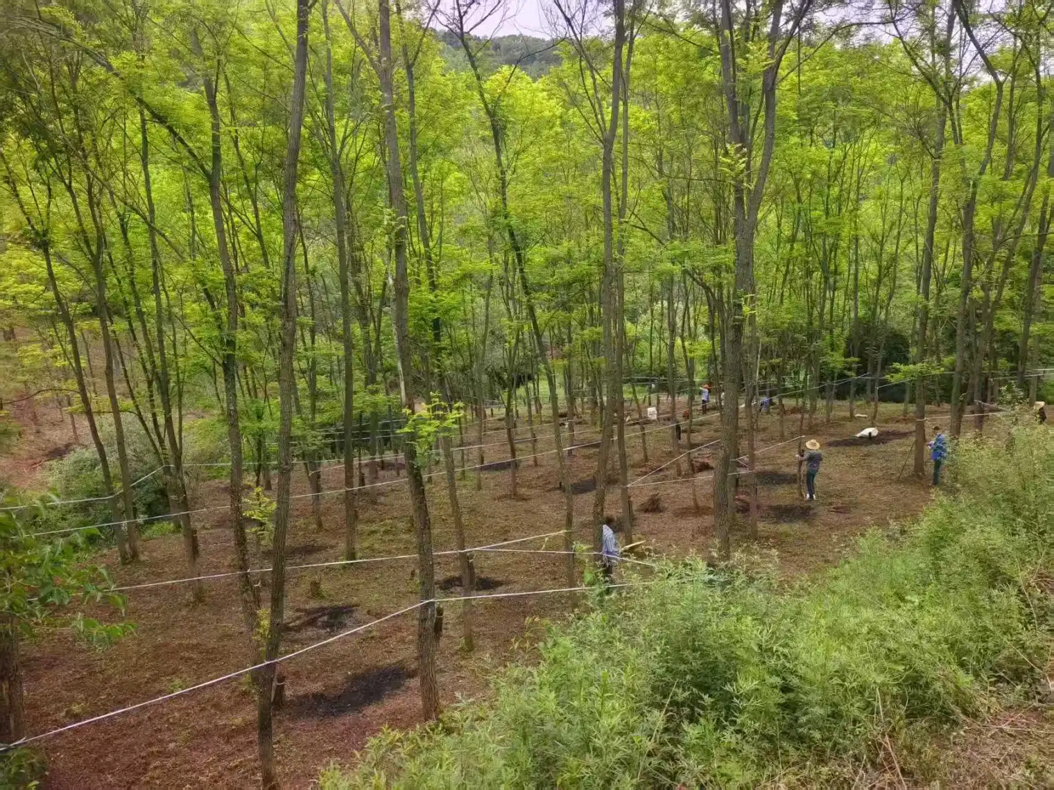 C:\Users\ADMINI~1\AppData\Local\Temp\WeChat Files\a3611dbe390e30e93c9638ebf517511.jpg