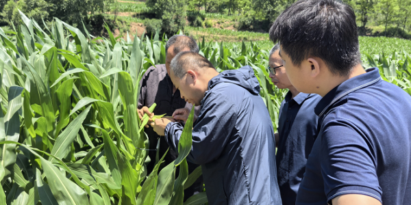 C:\Users\ADMINI~1\AppData\Local\Temp\WeChat Files\92f0c703a04675be62e4e5d2f7f874b.png