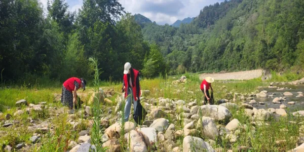 C:\Users\ADMINI~1\AppData\Local\Temp\WeChat Files\d836fd2560c7a75737bd11f944cf34b.jpg