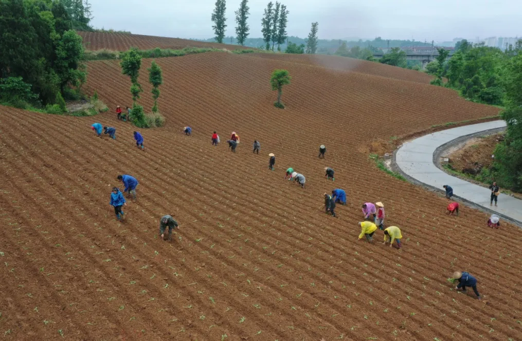 C:\Users\ADMINI~1\AppData\Local\Temp\WeChat Files\a9b60a08ea6213a92e4153075592308.jpg