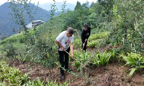 C:\Users\ADMINI~1\AppData\Local\Temp\WeChat Files\ce4f2dd55491088cebed5ef892c0100.png