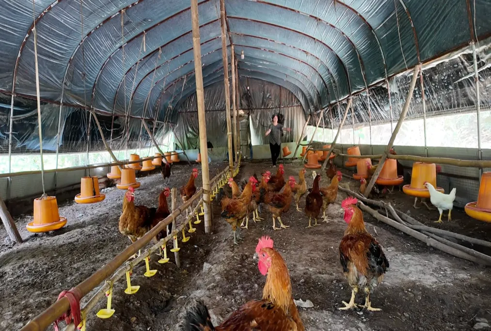 C:\Users\ADMINI~1\AppData\Local\Temp\WeChat Files\359a6f8bfa5c65c3c1808b6f251b25f.png