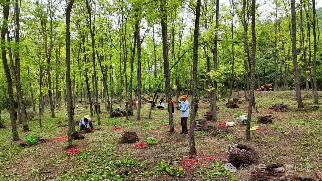 D:\Documents\WeChat Files\wxid_93fnk9ywzkz311\FileStorage\Temp\075bf9dadd71ac1b08e9310084aaa102.jpg