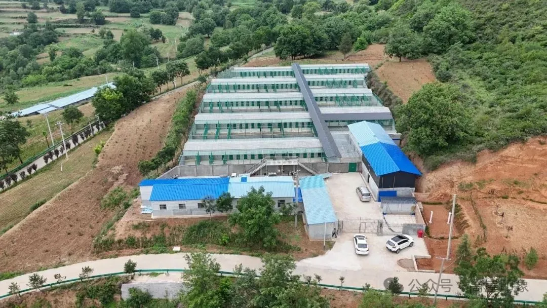 D:\Documents\WeChat Files\wxid_93fnk9ywzkz311\FileStorage\Temp\e3e676195314a48cca0b6f1b5154ef18.jpg