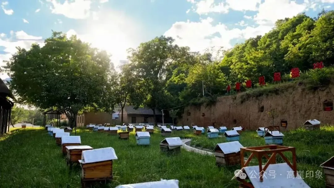 D:\Documents\WeChat Files\wxid_93fnk9ywzkz311\FileStorage\Temp\1db14f1743b96cf5b770d5a2f49c3ae0.jpg