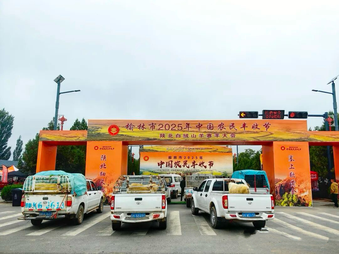 微信图片_20250922095006_214_155