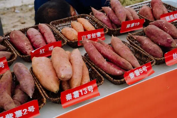 2025.09.22_14.36.42(1)