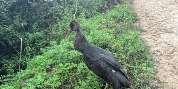 5138b7bd113630051d8cb3655906f5b8