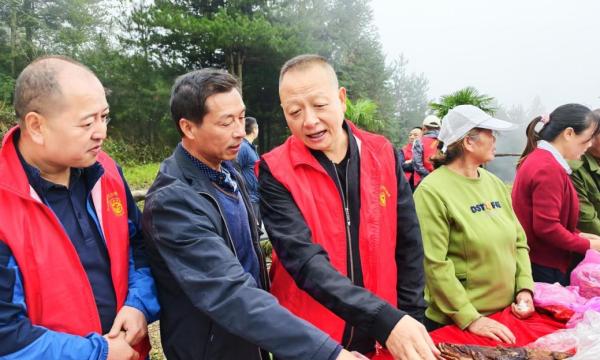 e8625d7c14ca0780384388177fec3093