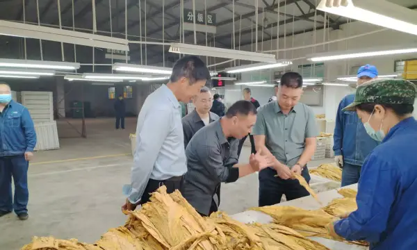 C:\Users\ADMINI~1\AppData\Local\Temp\WeChat Files\b4d2a48ba0e58aff3df1c13cc938bb5.jpg