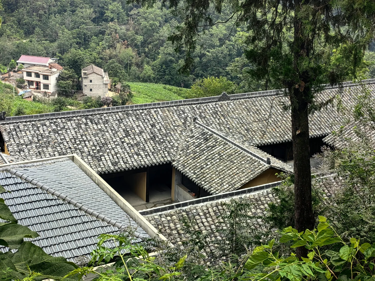 微信图片_20251013152733