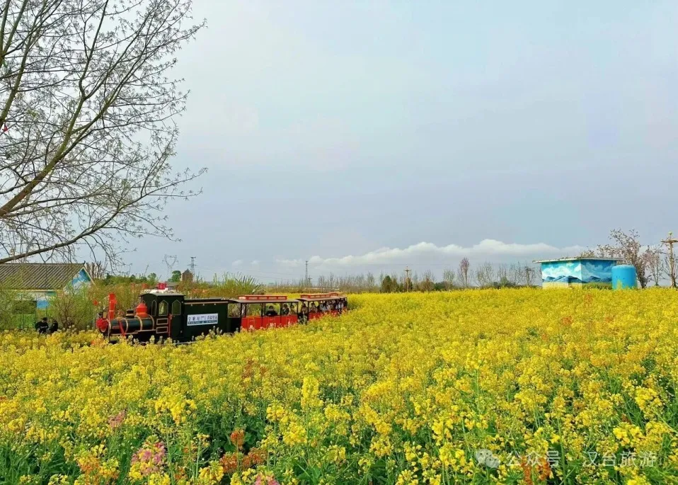 C:\Users\ADMINI~1\AppData\Local\Temp\WeChat Files\f5ac8458dccf291d46308e4b106ac72.jpg