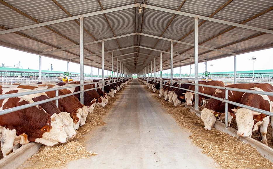 C:\Users\ADMINI~1\AppData\Local\Temp\WeChat Files\18d493484930a522e9e8d48af2cf633.png