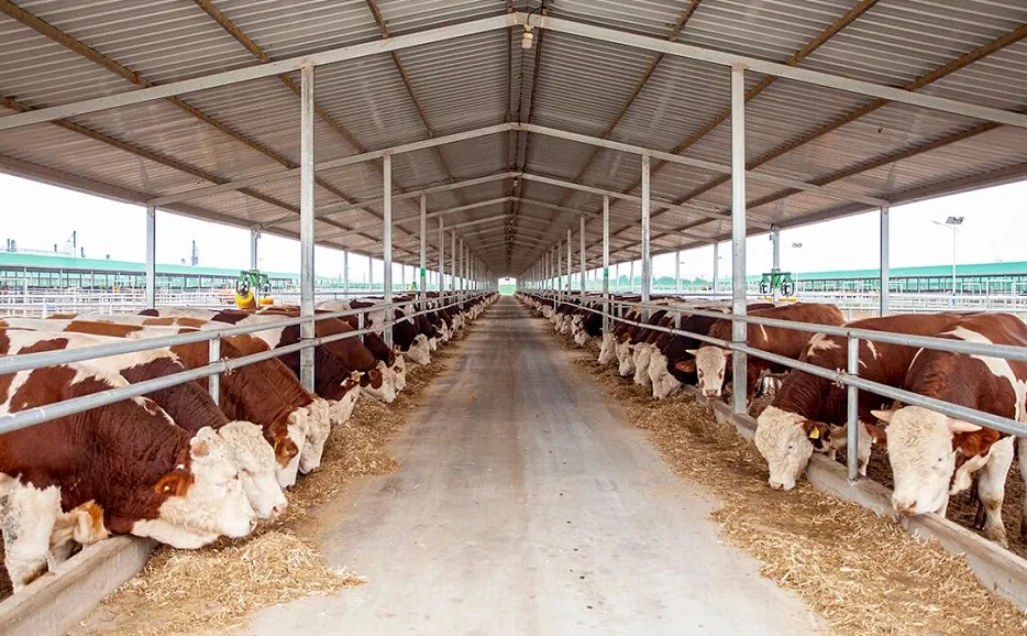 C:\Users\ADMINI~1\AppData\Local\Temp\WeChat Files\18d493484930a522e9e8d48af2cf633.png