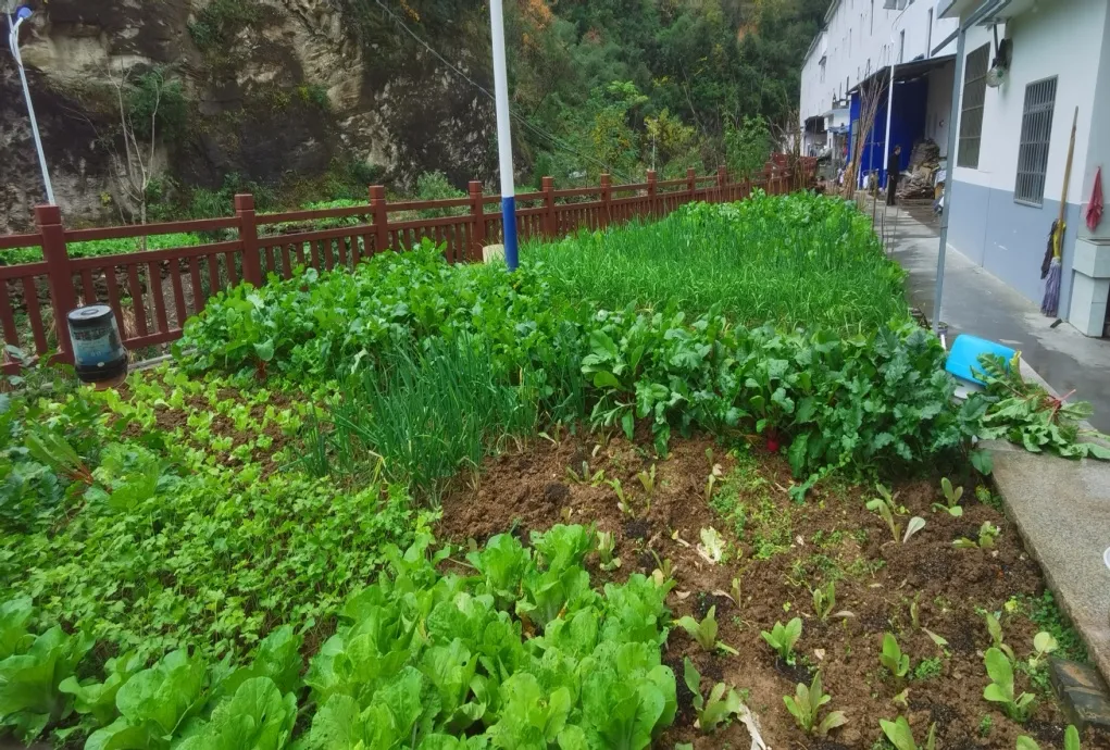 C:\Users\ADMINI~1\AppData\Local\Temp\WeChat Files\423209e019c1c92dc408ac7c5faaa01.jpg