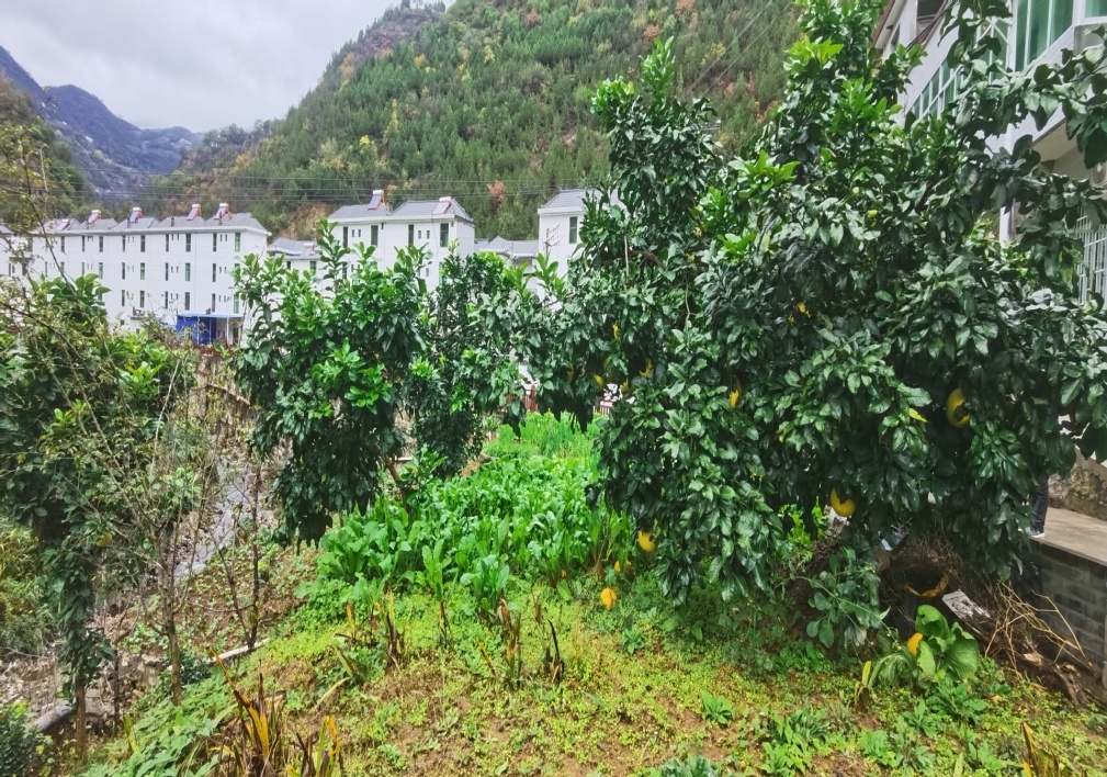 C:\Users\ADMINI~1\AppData\Local\Temp\WeChat Files\e09ac5b6b1b4ef442632fe01e834233.jpg