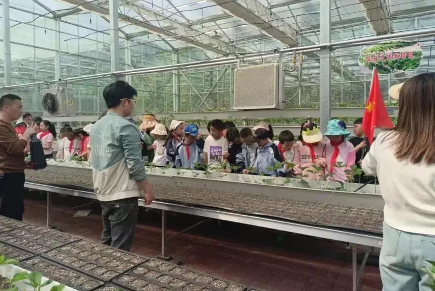 b01e9c05a1069c8a7e9b54d8aa7b937