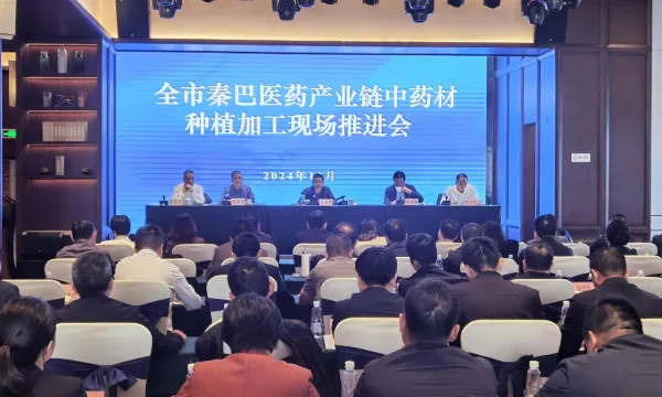 010e72735ce6d34cbd8cb546f407bb4