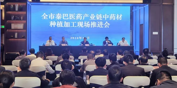 010e72735ce6d34cbd8cb546f407bb4