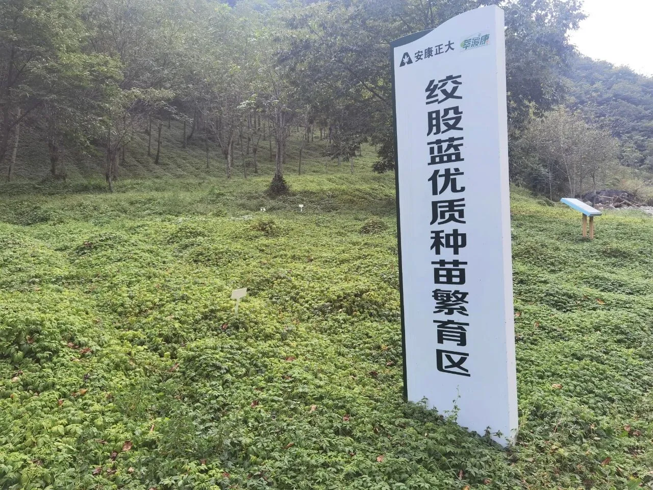 b5248c4c2ae885ab6b60f12109dc424