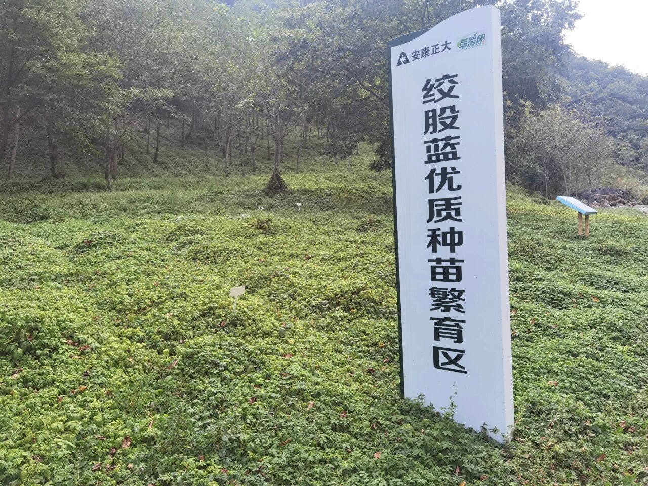 b5248c4c2ae885ab6b60f12109dc424