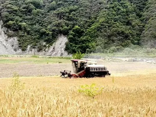 01c9a72b8c2d6d4bfe9e8fe501660c7