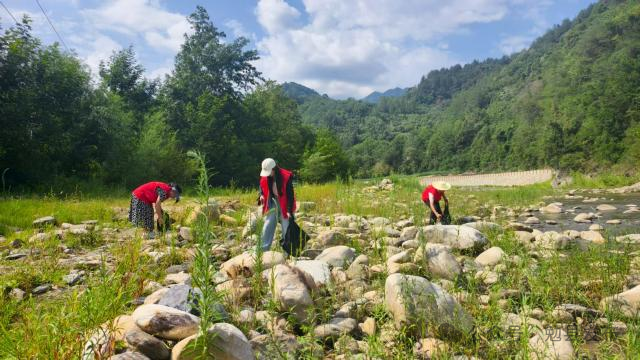 C:\Users\ADMINI~1\AppData\Local\Temp\WeChat Files\92ab5a0546db2a81f51be9c4909a78f.png