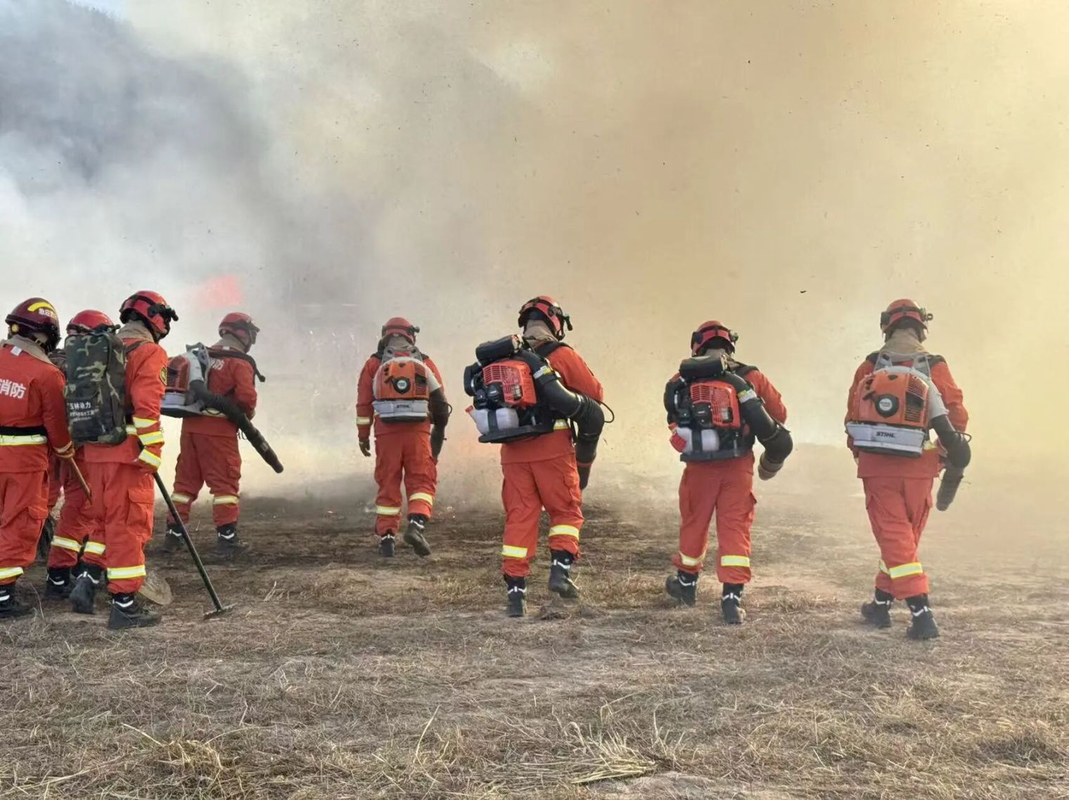 c8b6ac2dc41a97feec0a4d2446a65c9