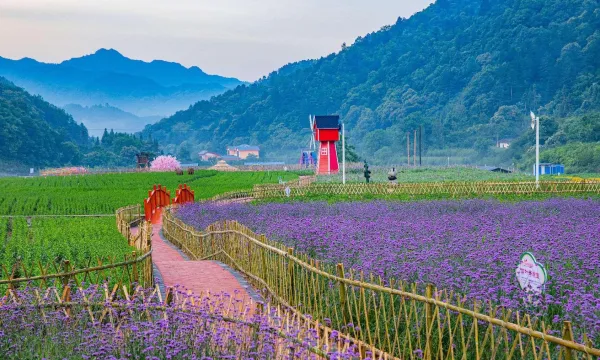 7c604531356be1596bd5b8111c52e36