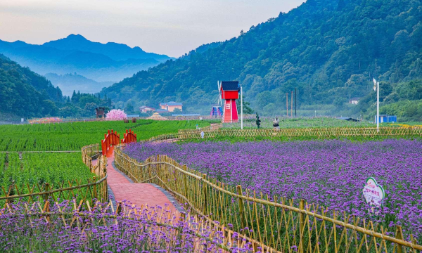 7c604531356be1596bd5b8111c52e36