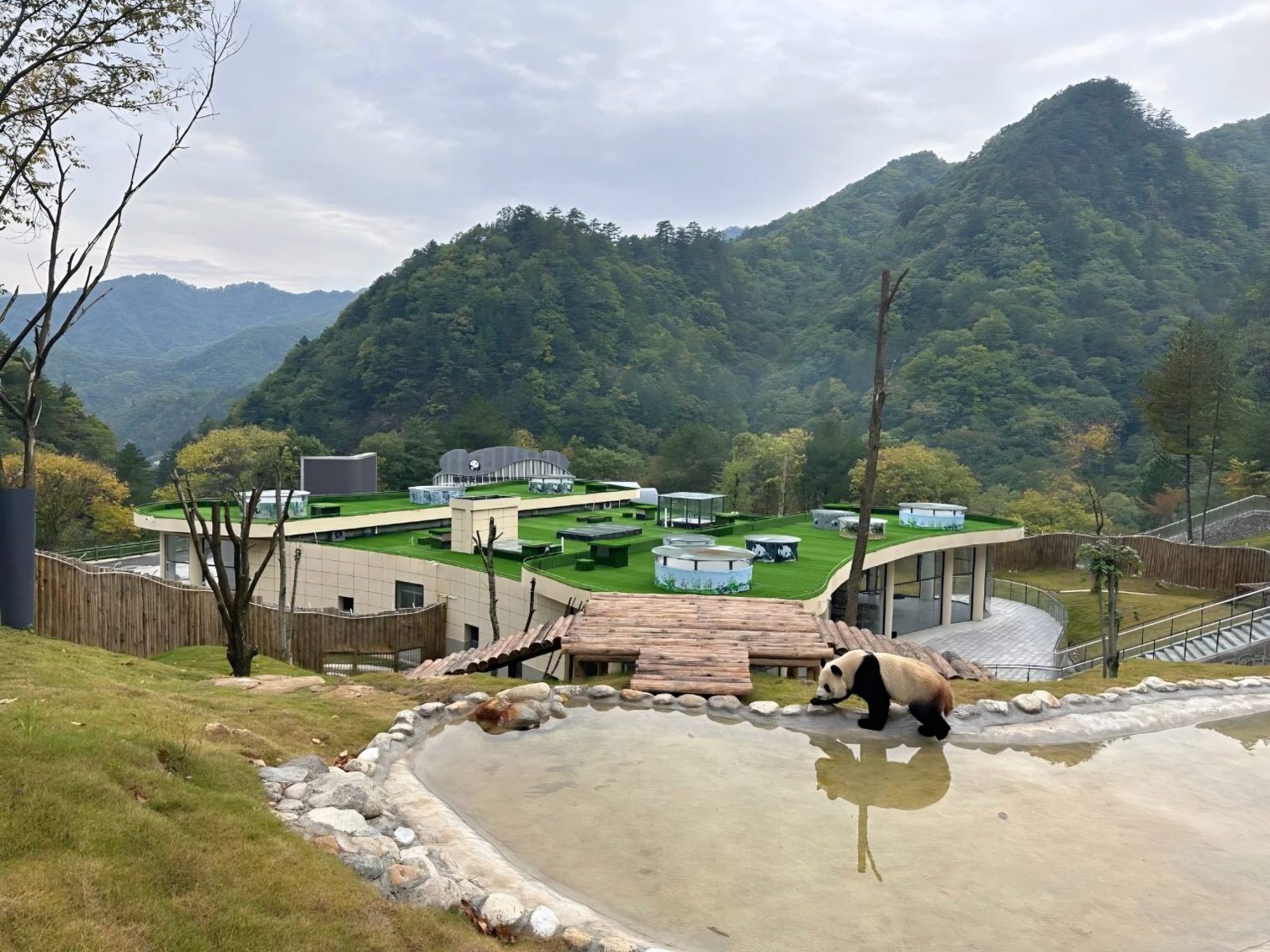 2e0db6472db09941b374cf247d91f37