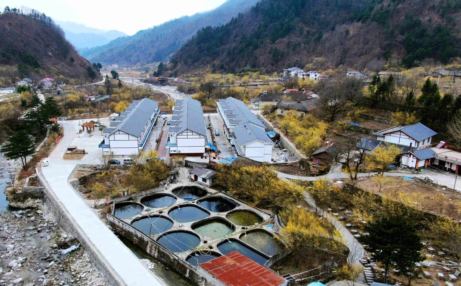 e41692b1ee9324291c29de40e73f7aa