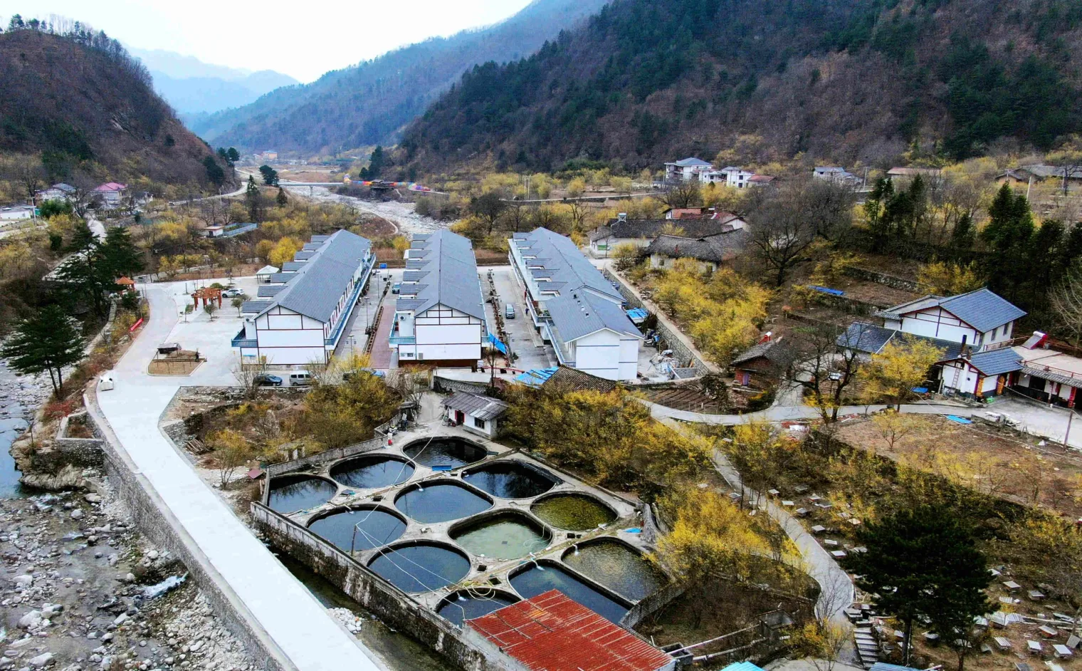 e41692b1ee9324291c29de40e73f7aa