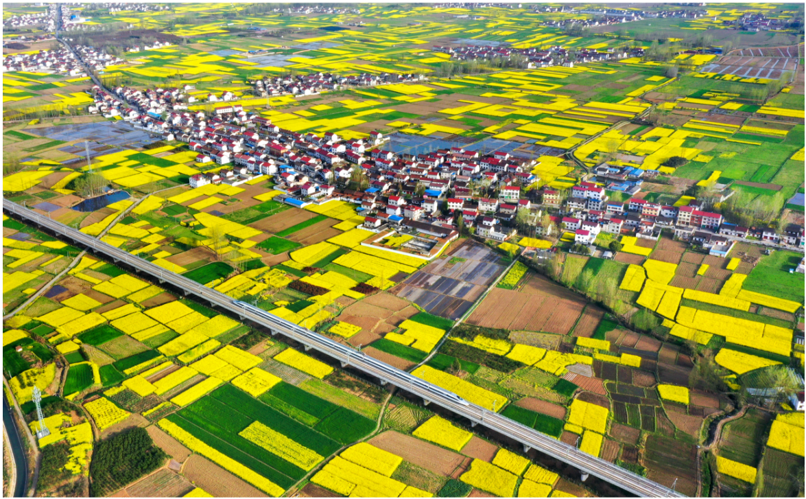 1cca42cee52b8c82260fca9cf680364