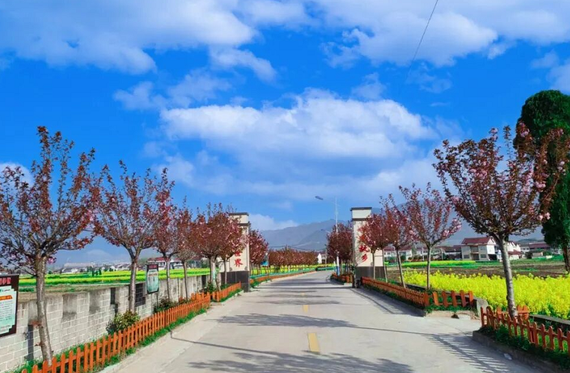 C:\Users\ADMINI~1\AppData\Local\Temp\WeChat Files\b0caabe2cefe7f20fa1c74c201bb6a1.png