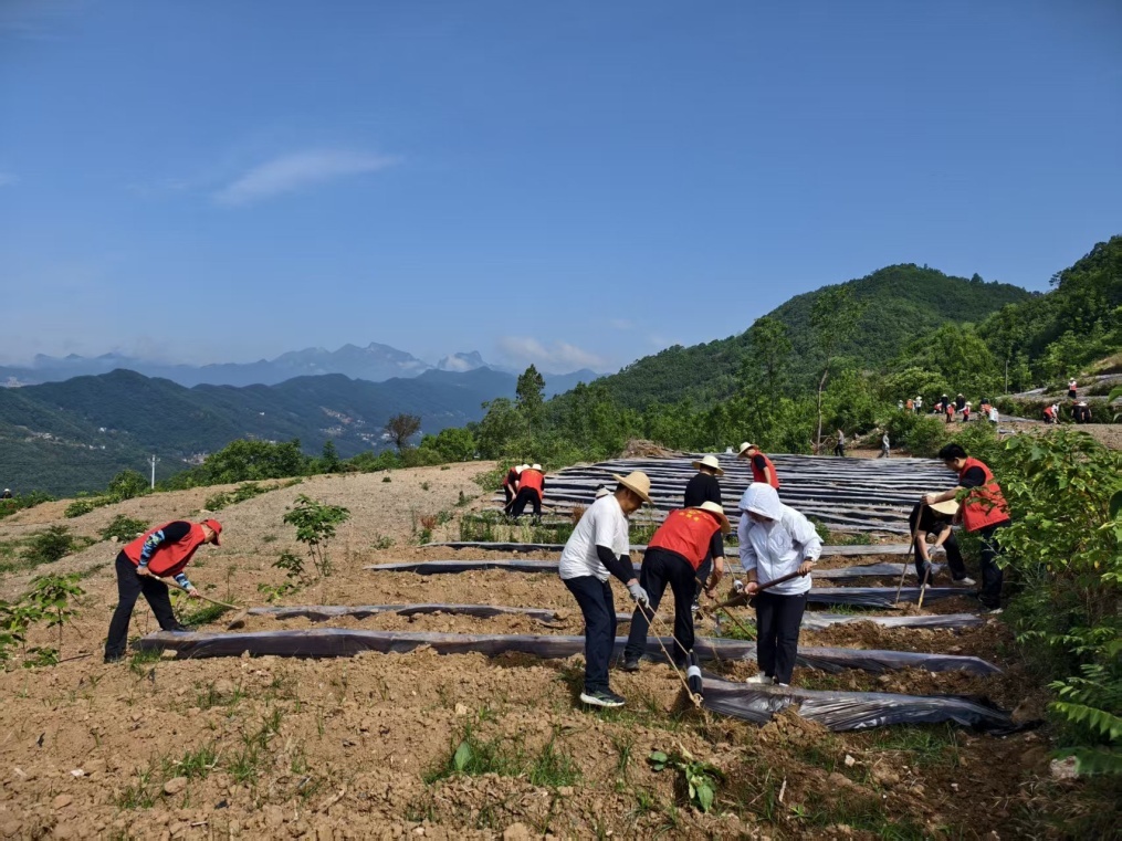 C:\Users\ADMINI~1\AppData\Local\Temp\WeChat Files\b071ac764dbc099a72cbb03334fe9ee.jpg