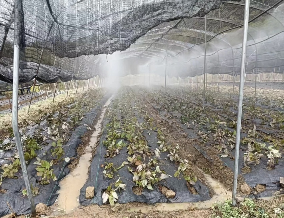 C:\Users\ADMINI~1\AppData\Local\Temp\WeChat Files\3d993570007897f560b48dc6aaa7b5c.jpg