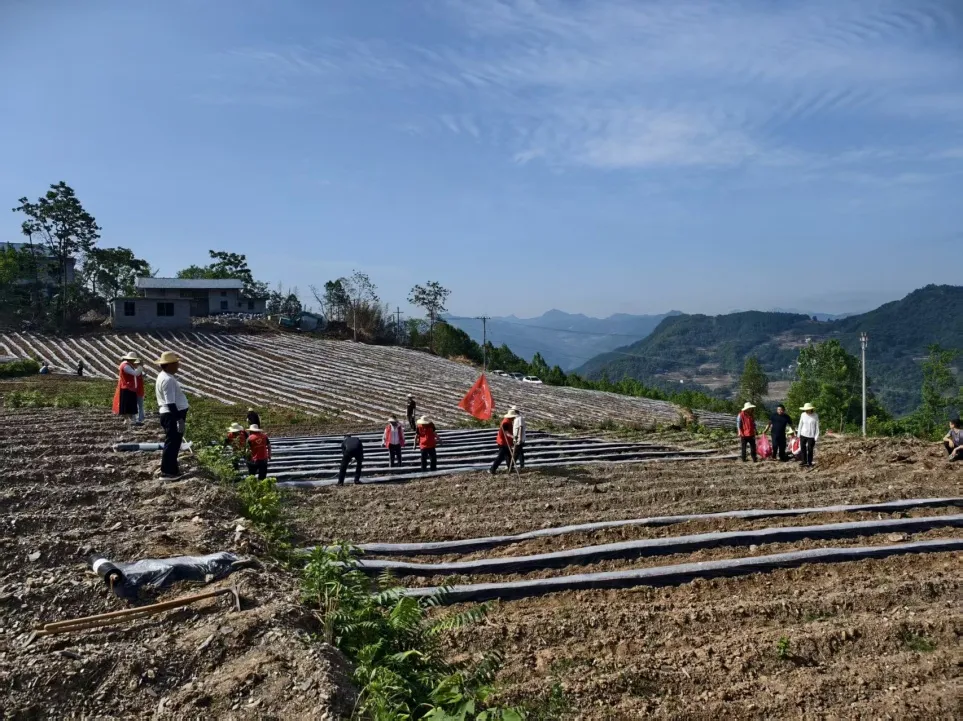 C:\Users\ADMINI~1\AppData\Local\Temp\WeChat Files\f274b81569ece2e9c8e5573ac08bbc6.jpg