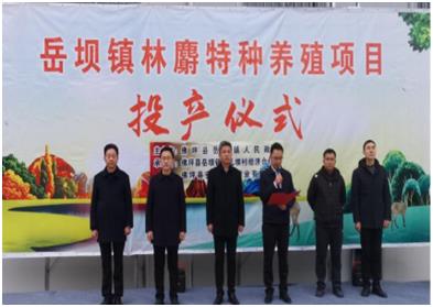 C:\Users\ADMINI~1\AppData\Local\Temp\WeChat Files\55196a85b8ee019acfdb33e75df2c44.jpg