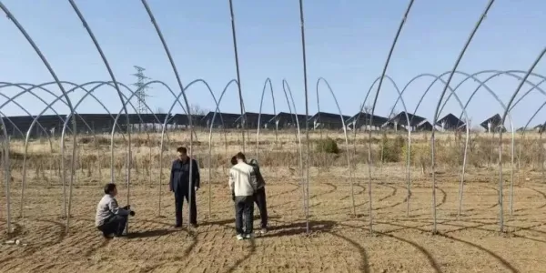 D:\Documents\WeChat Files\wxid_93fnk9ywzkz311\FileStorage\Temp\95c8adc160faa7bb529605697ba82c20.jpg