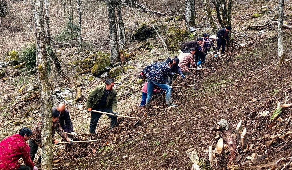 D:\Documents\WeChat Files\wxid_93fnk9ywzkz311\FileStorage\Temp\a903af468e7d01fd1cb8357630e4d16e.jpg