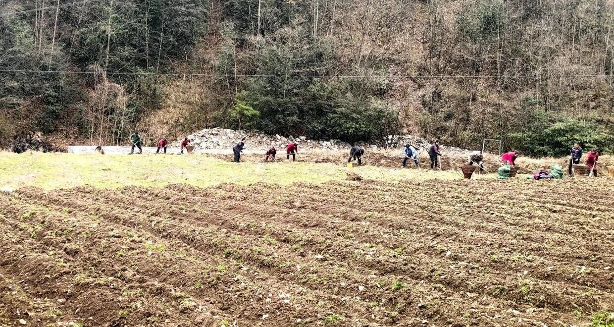 D:\Documents\WeChat Files\wxid_93fnk9ywzkz311\FileStorage\Temp\f0c892ae5d72b71a6f02e0a91b778bcd.jpg