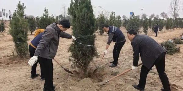 31a9c8ea7b85a98ef5442377caf04763