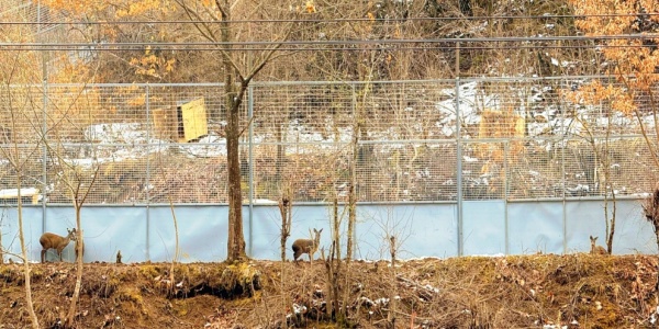 C:\Users\ADMINI~1\AppData\Local\Temp\WeChat Files\817676b6ec6726c7c7f6f1d24bab601.jpg