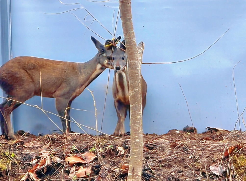 D:\Documents\WeChat Files\wxid_93fnk9ywzkz311\FileStorage\Temp\d91ebf7224f3f693b893eb4398733bb0.jpg